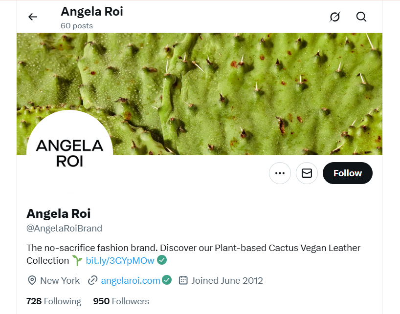 Angeka Roi- X Banner 