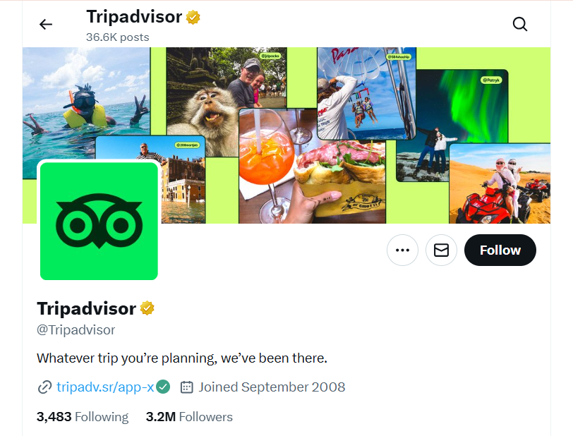 Tripadvisor- X Banner 